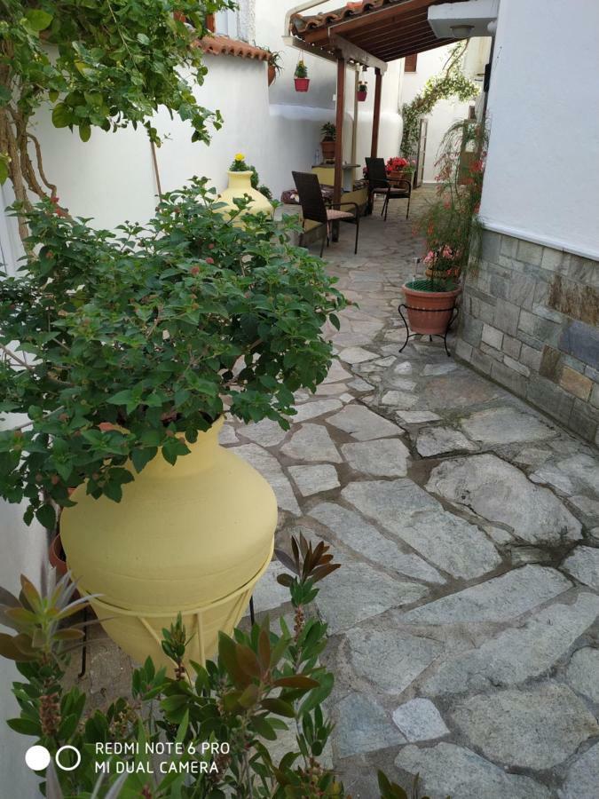 Pension Nikolas Skiathos-stad Buitenkant foto